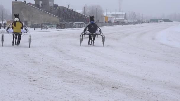 Correr caballos de carreras con jinetes en carros después de terminar en temporada de invierno. 4K — Vídeos de Stock