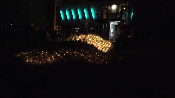 Pequeñas luces led que brillan en el prado por la noche en el espectáculo de luz. 4K — Vídeo de stock