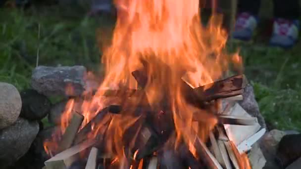 Burning wood in the fireplace outdoors. — Stock Video