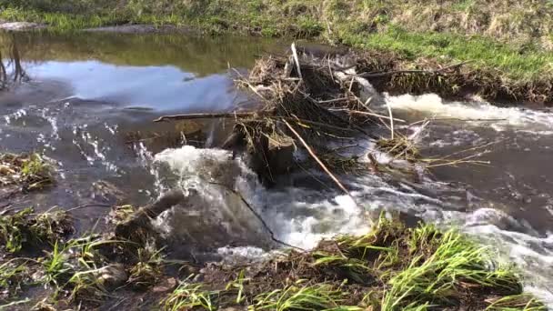 Flusso di acqua attraverso la diga — Video Stock