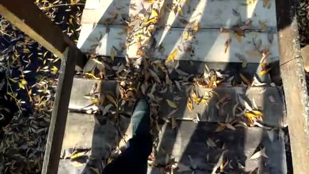 Bacaklar parkta sonbahar yaprakları ile kaplı ahşap köprü üzerinde yürümek — Stok video