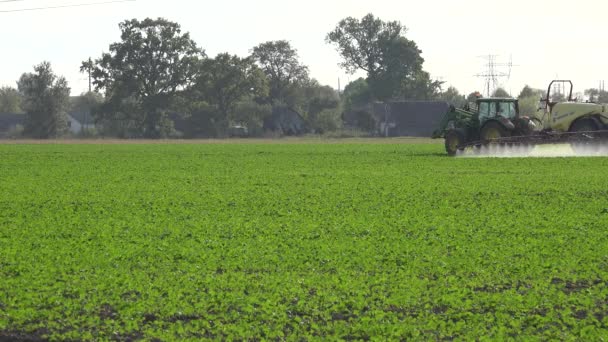 Farmer spray repce vetőmag növények a vegyi anyagok őszi területen. 4k — Stock videók