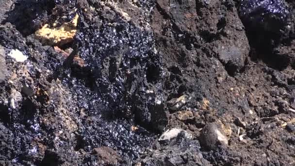 Suelo contaminado con aceite y otros materiales tóxicos. Contaminación ambiental — Vídeo de stock