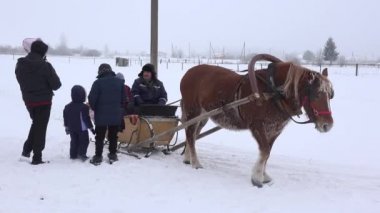 Çocuklu ebeveynler, soğuk kış aylarında karda at tarafından çekilen kızakta oturarak. 4k