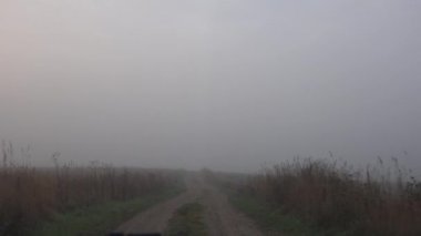 kırsal bölgede sisli sabah. İçinde kamera olan araba sürücüsü. 4k
