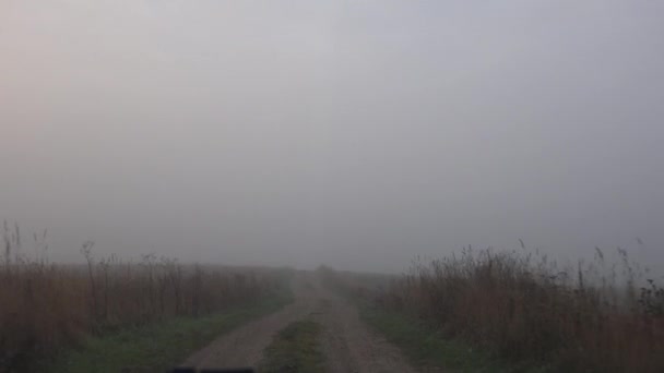 田舎の霧の朝。車の中にカメラが付いています。4k — ストック動画