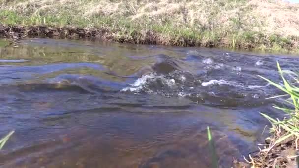 Вода быстро течет и берега реки с зеленой травой и растениями — стоковое видео