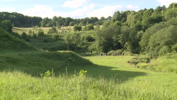 Turist personer grupp i pedagogiska utomhus utflykt. Kunskap om naturen — Stockvideo