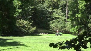 Sunny Park 'ta çim biçme makinesiyle çim biçme işçisi. 4k