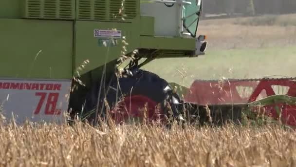 Trabajo cosechadora moderna granja en el campo de grano de trigo. 4K — Vídeo de stock