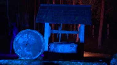 insanlar lazer ışıklı köy müzesi gece yürümek. 4k