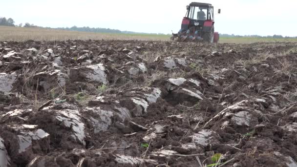 Vue arrière de la ferme tracteur charrue terres agricoles à l'automne. 4K — Video