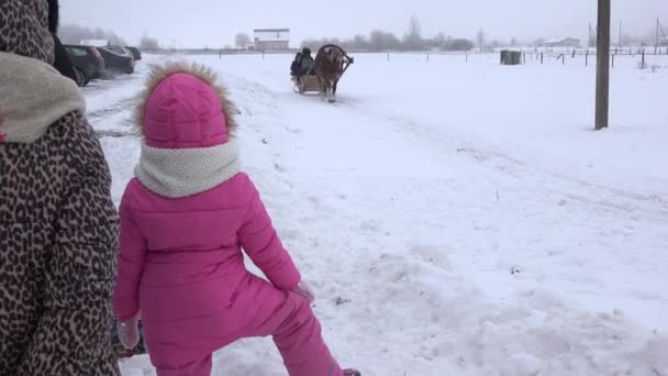 추운 겨울에 썰매를 타고 말과 함께 하는 가족. 4k — 비디오