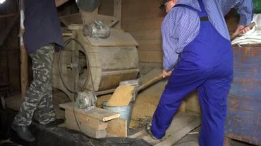 çiftçi erkekler ahırda eski otomatik temizlik arp makineleri ile tahıl işlenmiş
