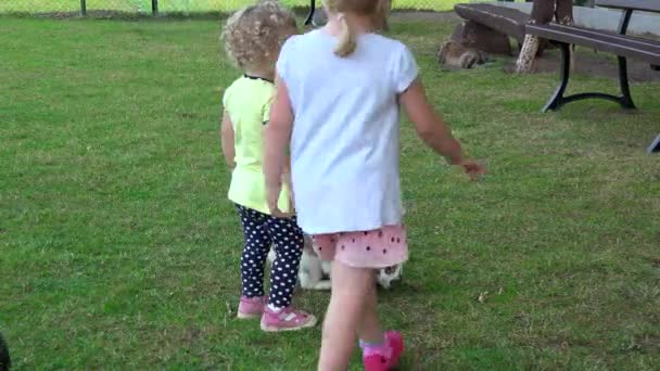 Zwei junge Mädchen spielen mit Kaninchen im Zoo — Stockvideo