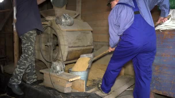 Contadino uomini trasformati grano con vecchi macchinari arpa pulizia automatica in fienile — Video Stock