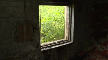 terk edilmiş fabrika binası. Yağ toksik kalır. Çevre kirliliği.
