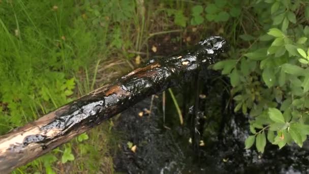 Palo cubierto con materiales tóxicos de petróleo restos de agua del lago — Vídeos de Stock