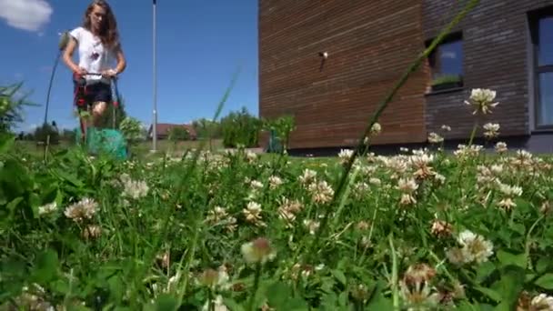 Jonge vrouw werken tuinieren trimmen gras met grasmaaier. Gimbal schot — Stockvideo