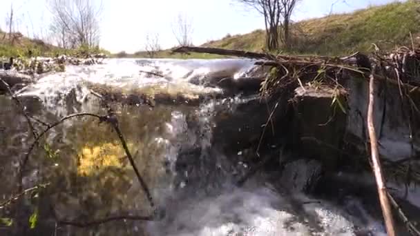 Rivierwater stroomt door takken en vuilnis dam — Stockvideo