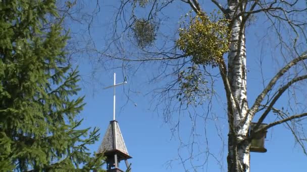 Dzwonnica kościoła widoczna przez ruchome gałęzie drzew — Wideo stockowe