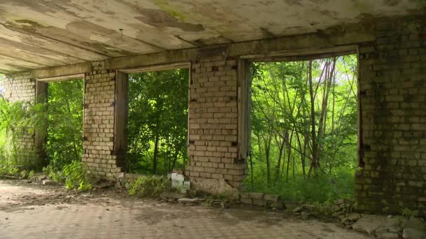 Beängstigend beschädigtes Armeegebäude ohne Fenster und Türen in der Natur — Stockvideo