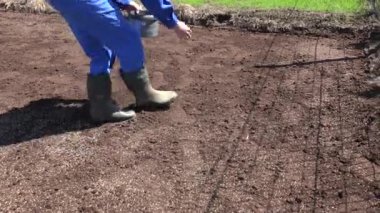 Çim tohumları zaten kurulmuş çim yanında toprak Ekim ile kişi