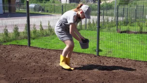 Vrouwelijke tuinman handen zaaien planten nieuwe gras gazon zaden in huis werf — Stockvideo