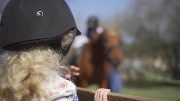Niña con casco protector esperando montar a caballo. Movimiento del cardán — Vídeos de Stock