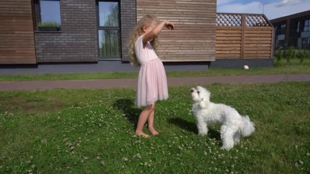 ブロンドの小さな女の子は、家の庭で犬の子犬を養います。ジンバルモーションショット — ストック動画