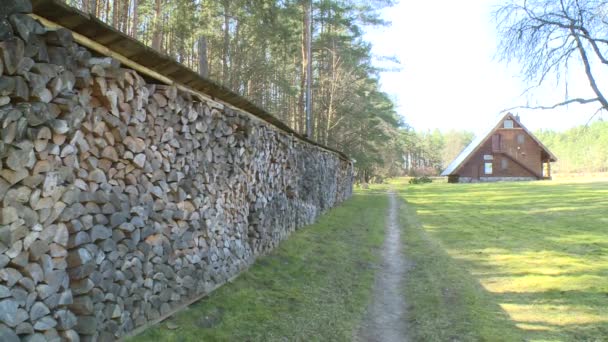 Стовпи дров. купа дров, приготованих для каміна — стокове відео