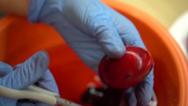 Main avec des gants peignant des œufs pour l'événement de Pâques. Tir à la carabine 