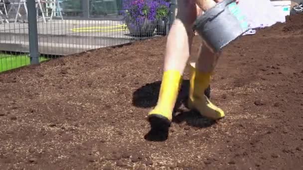 Mujer paisajista con botas de goma amarillas esparciendo semillas de hierba. Movimiento del cardán — Vídeo de stock