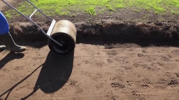 Giardiniere uomo terreno compatto con rullo dopo la semina prato. Colpo palmare — Video Stock