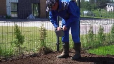 Peyzajcı Adam Mükemmel Çim için Elle Çim Tohum Spreading. El