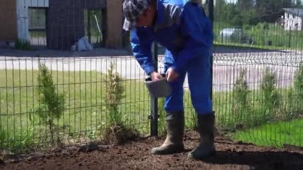 Landschaftsgärtner Mann streut Grassamen von Hand für perfekten Rasen. Handheld — Stockvideo