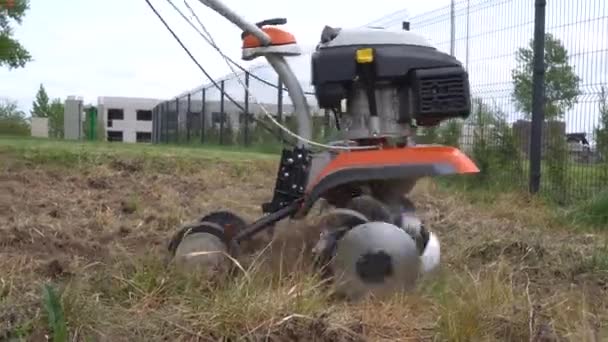Cultivador de gasolina utilizado para la renovación de la hierba vieja. Movimiento Gimbal tiro — Vídeos de Stock