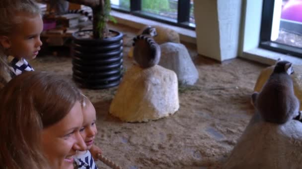 Mère avec des enfants admirer lémurien dans le zoo. Mouvement du cardan — Video