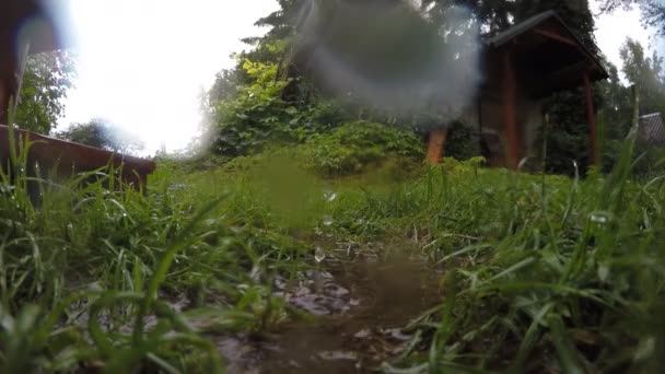 Fermer goutte à goutte de pluie dans la saleté des prés. Goutte sur le verre de la caméra. 4K — Video