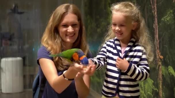 Mãe branca e filha pequena estão felizes em alimentar papagaio no zoológico. Movimento de Gimbal — Vídeo de Stock