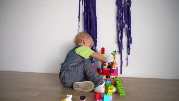 Малюк грає з кольоровими блоками конструктора на дерев'яній підлозі. Джимбал рух — стокове відео