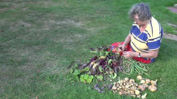 Oude land vrouw zittend op gras proces verse bieten wortel groenten. 4k — Stockvideo