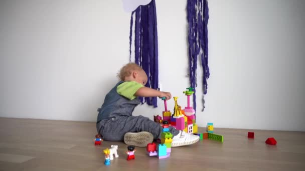 Niño lindo construye a partir de bloques de colores, sentarse en el suelo de madera. Movimiento del cardán — Vídeos de Stock