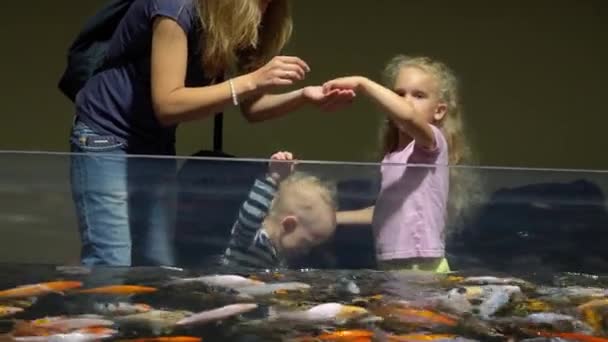 Mamá con hijo e hija alimentando a los peces de colores en el acuario grande. Movimiento del cardán — Vídeo de stock