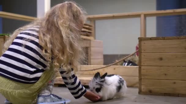 Blonde meisje voeden konijn in de dierentuin. Peuter jongen springen als konijn — Stockvideo