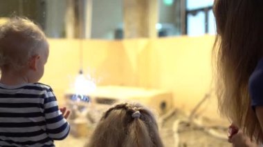 Çocuklu hayvanat bahçesi ziyaretçileri anne ışık altında köstebek marmot standı bakmak