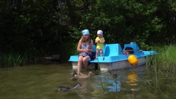 Mãe com filhinho alimentando patos pássaros sentados em catamarã. Movimento de Gimbal — Vídeo de Stock