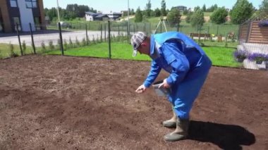 Erkek işçi toprak üzerinde elinde tutulan çim tohumları yayıldı. El çekimi