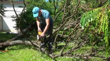Elektrikli testereli ve ağaç dallarını kesen bir erkek işçi devriliyor. Gimbal