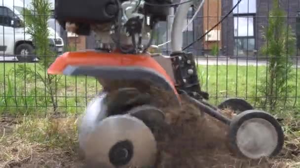 Trabajador calificado afloja el suelo con tractor manual en el patio de la casa privada. Gimbal. — Vídeos de Stock